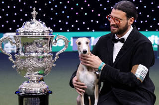 Crufts dog show in Birmingham