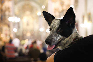 Dia de Sao Francisco