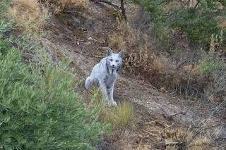 filme de sexo de pornô